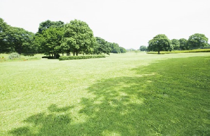 街に、暮らしに、さまざまなシーンで美しく快適な環境を創るダイプラの採光・建築資材